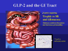 GLP-2 action slide.gif (162277 bytes)